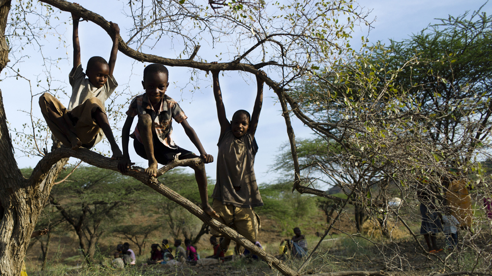 Children play on a tree in the village of Nawoyatir in the Lapur district of Lokitaung in Turkana, north Kenya [In Pictures Ltd/Corbis via Getty Images]