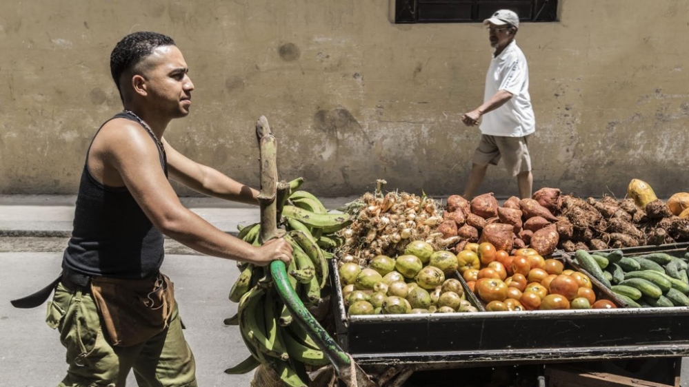 Jose is proud of the carretilla he fashioned out of wood, rubber bands and the sidecar of an old Soviet motorbike [El Estornudo/Al Jazeera]