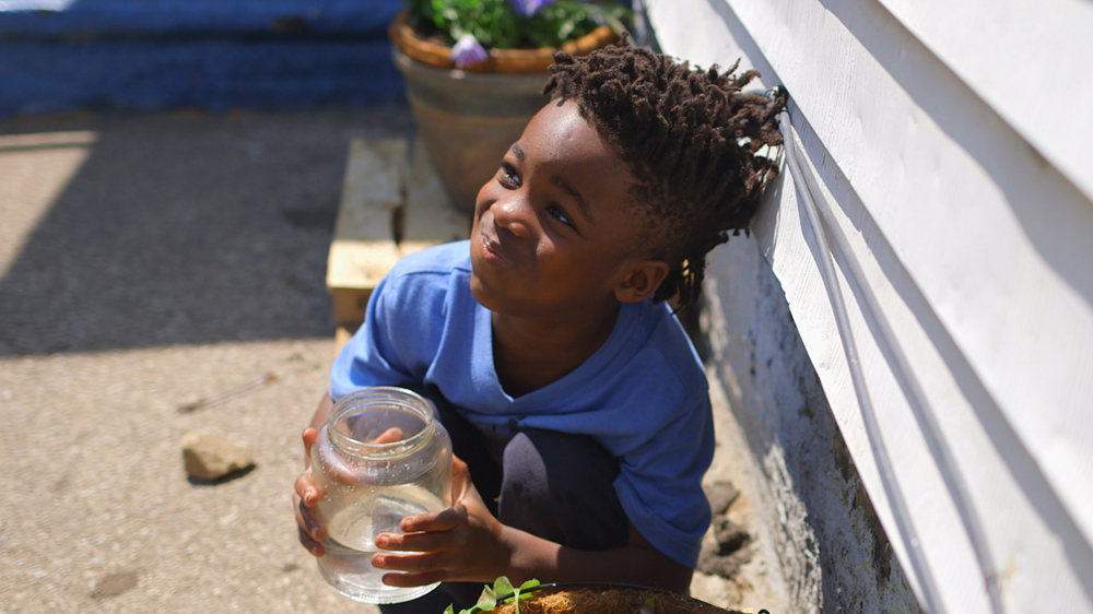 US: Poison in our Walls - Fault Lines