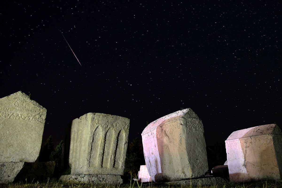 Perseid Meteor Shower