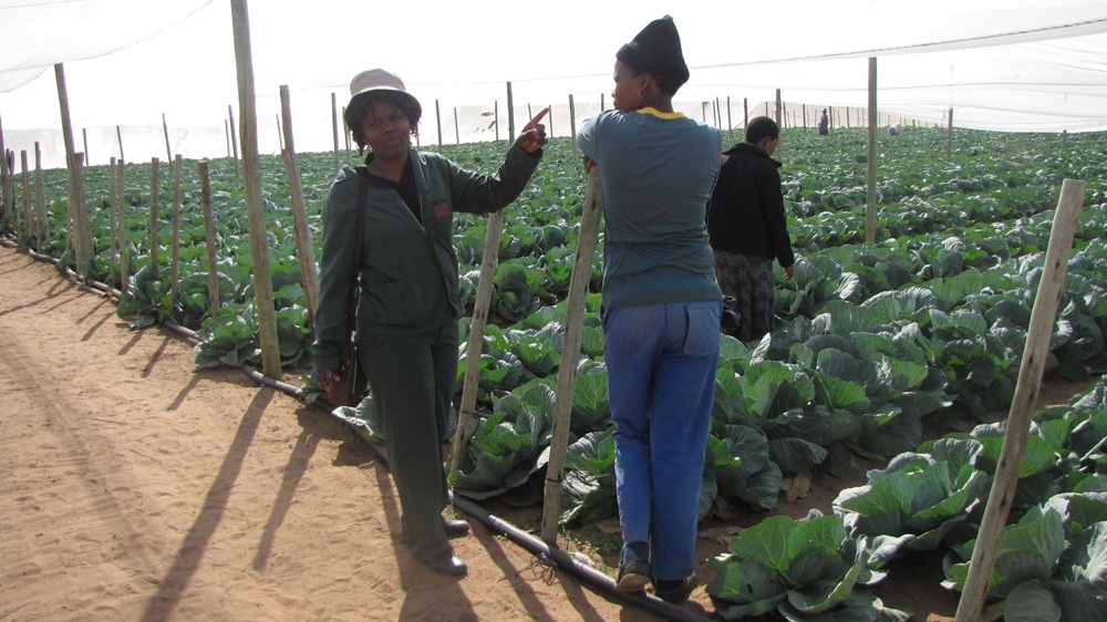 Female farmers in Botswana
