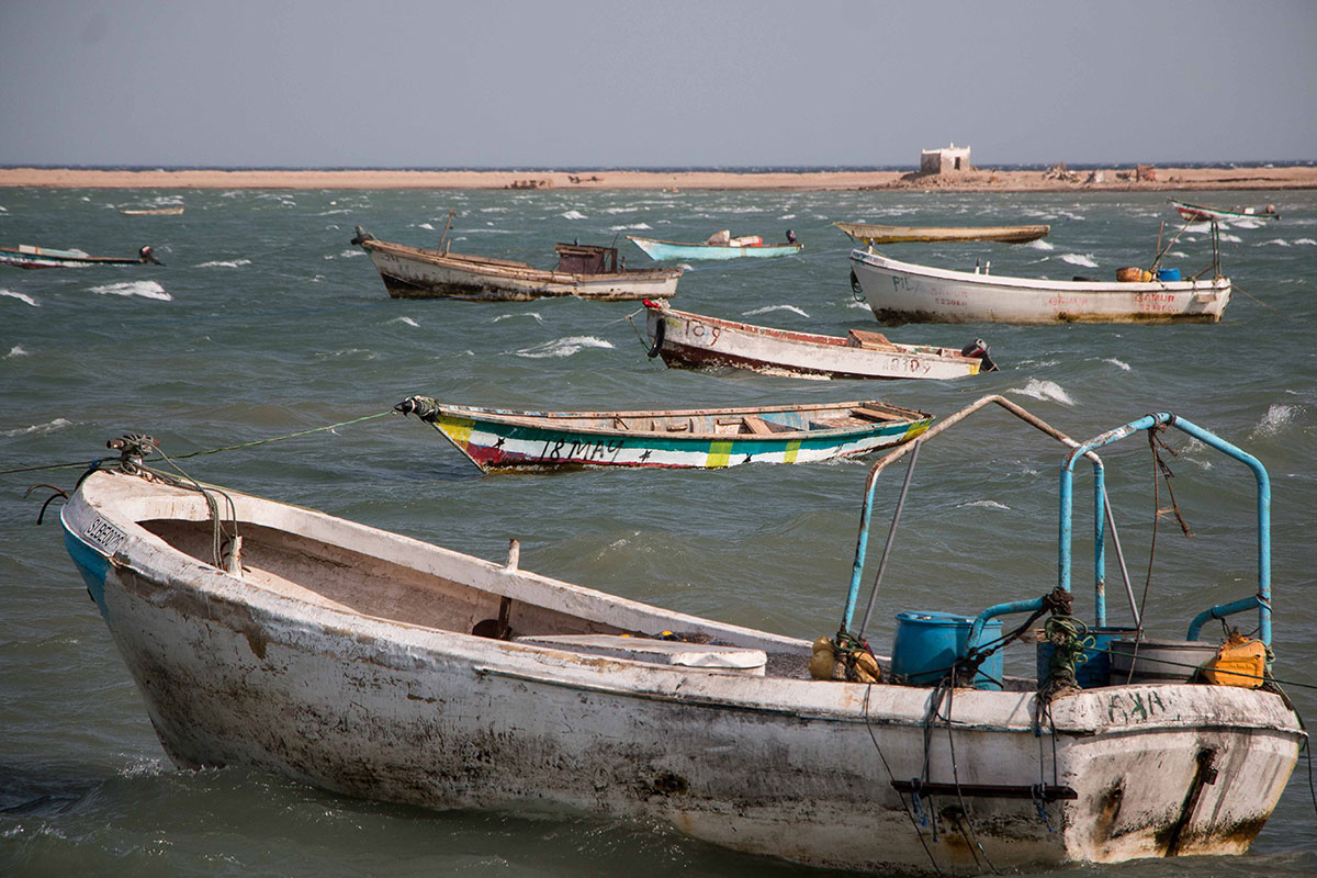 ON THE HOOF - SOMALILAND