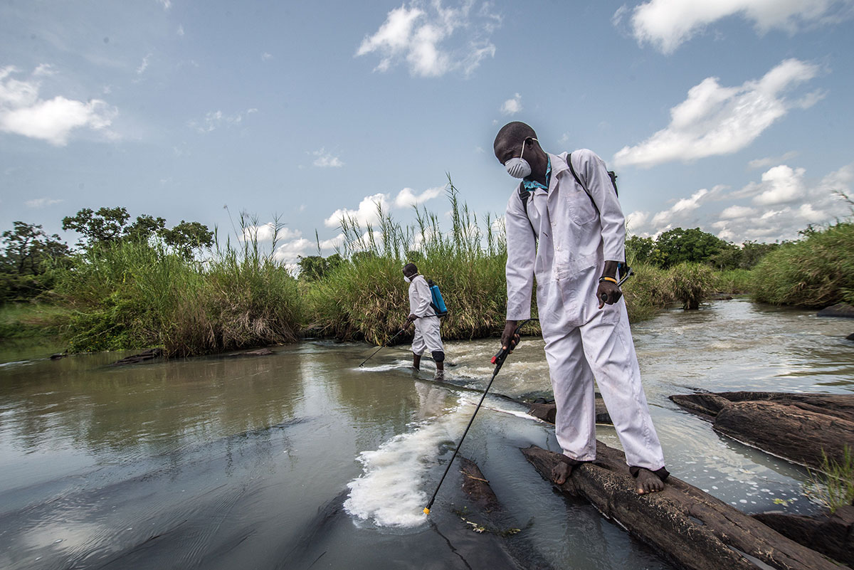 The fly catchers fighting river blindness