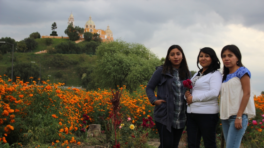 Cholula - Please do not use