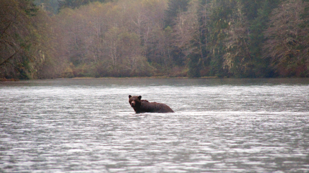 Heiltsuk and other coastal first nations say they are now convinced there is no such thing as effective oil-spill mitigation and cleanup [John Zada/Al Jazeera]
