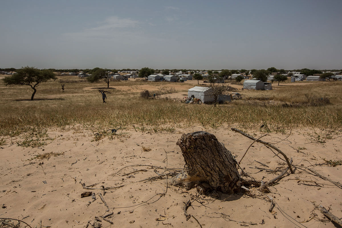 Fishing in Lake Chad/ Please Do Not Use