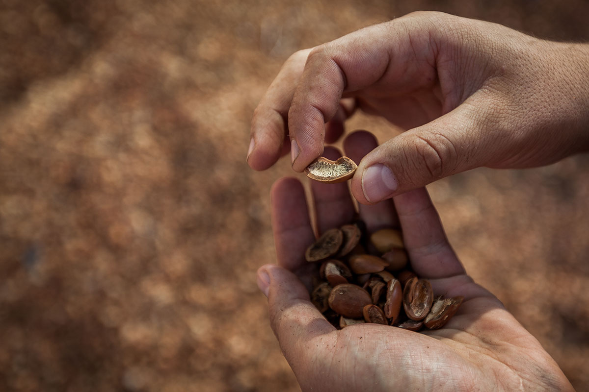 Traditional hammams/ Please Do Not Use