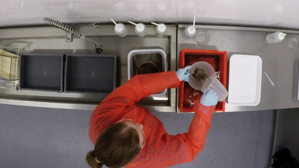 At Oxitec's sorting room, researchers separate the males and females by hand [Al Jazeera]