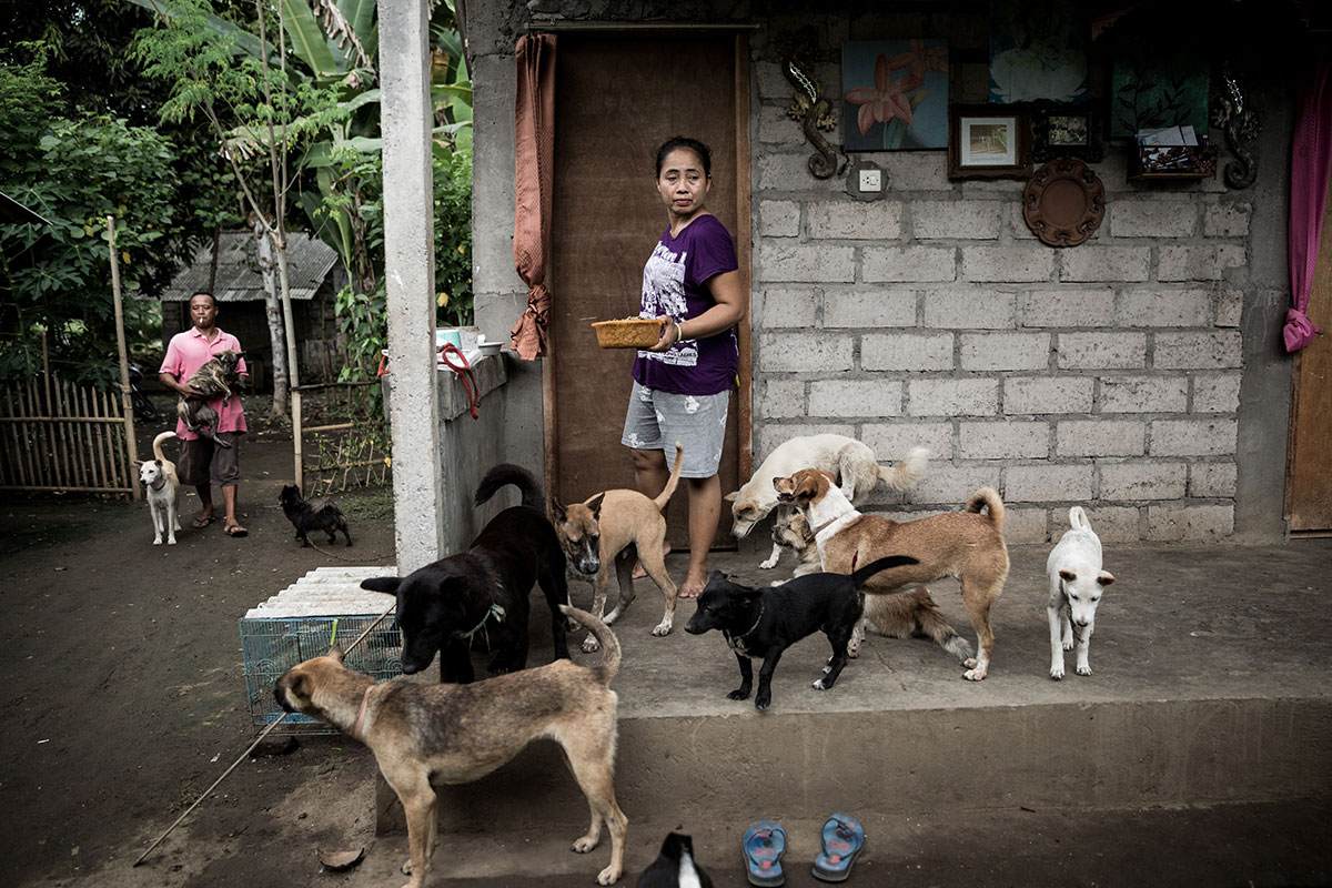 A Solo Balinese Girl Stray Dogs Rescuer/ Please Do Not Use