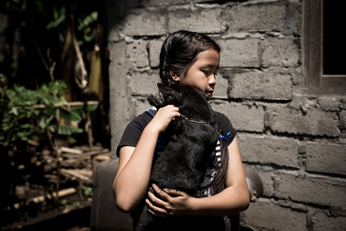 A Solo Balinese Girl Stray Dogs Rescuer/ Please Do Not Use