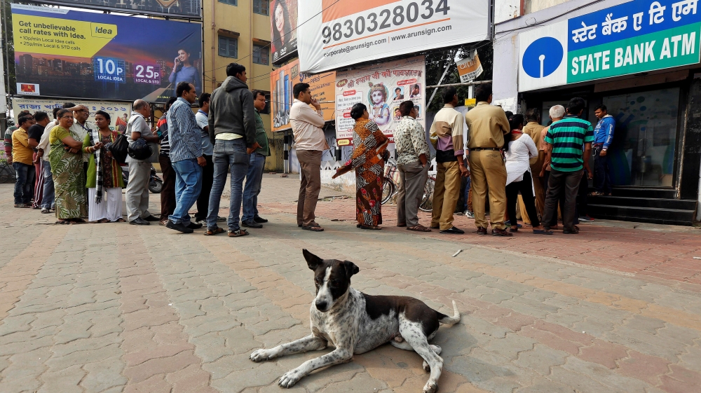 A stray dog rests as people queue outside an ATM to withdraw cash in Kolkata