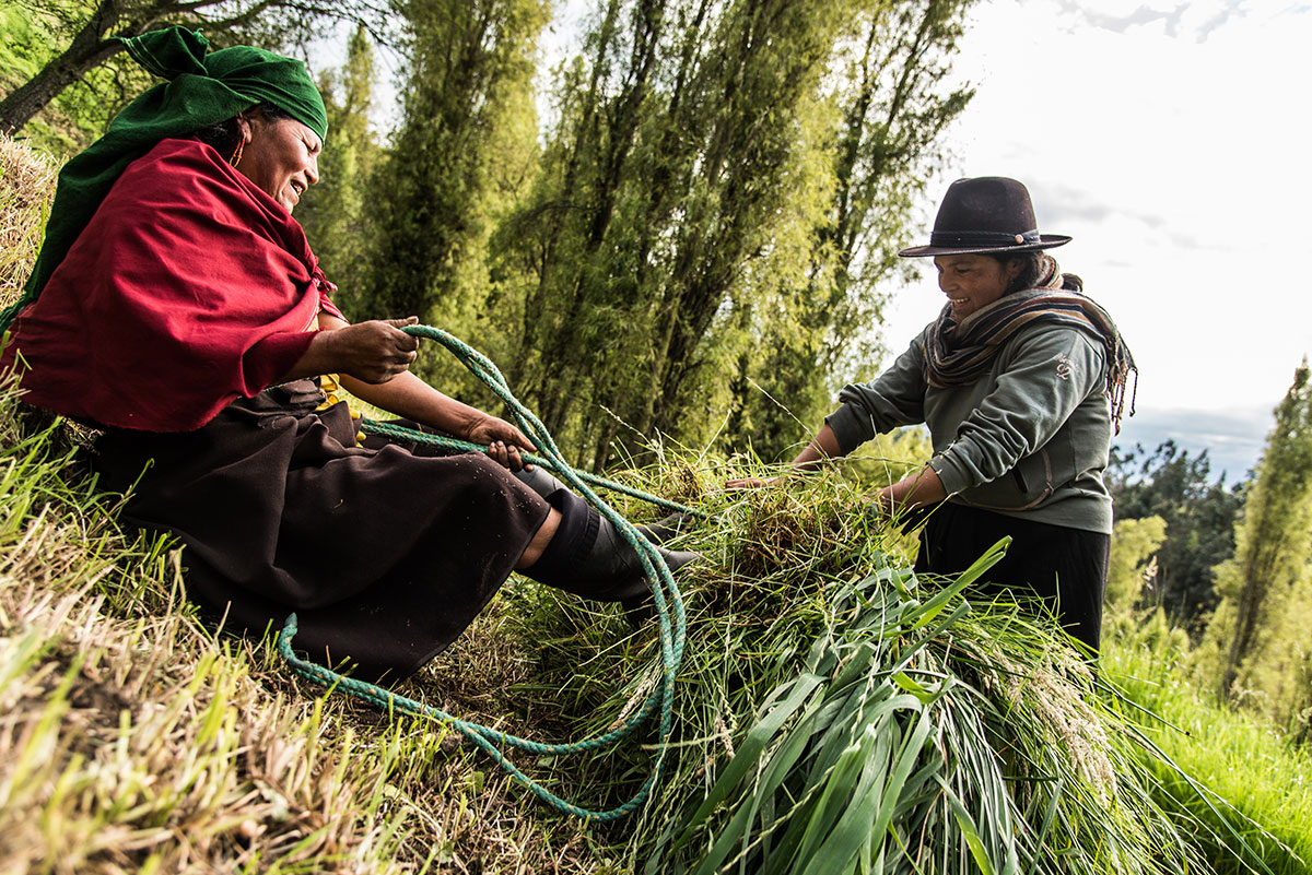 On Women’s Shoulders/ Please Do Not Use