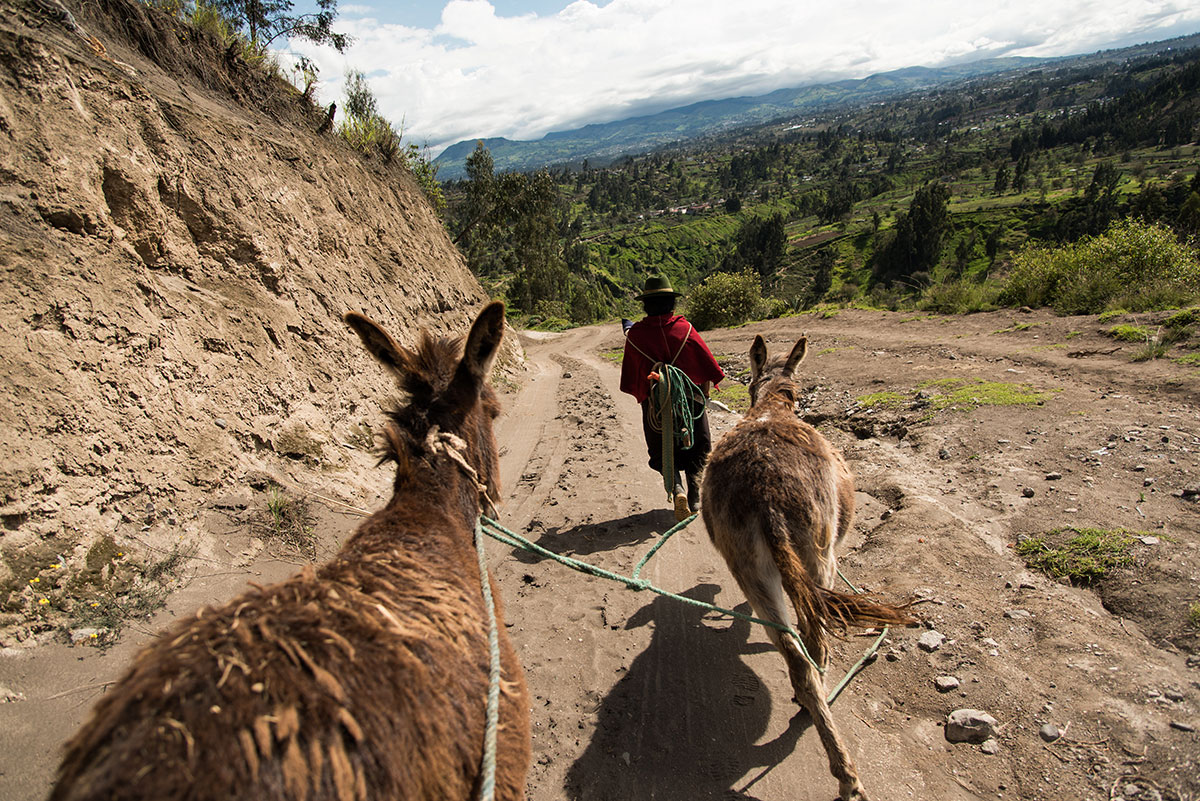 On Women’s Shoulders/ Please Do Not Use