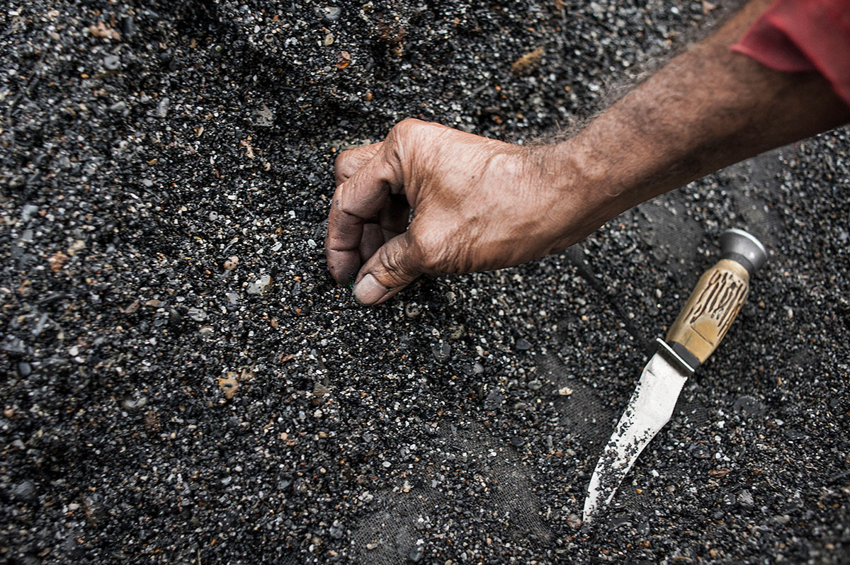 Into the Green Land/ Please Do Not Use