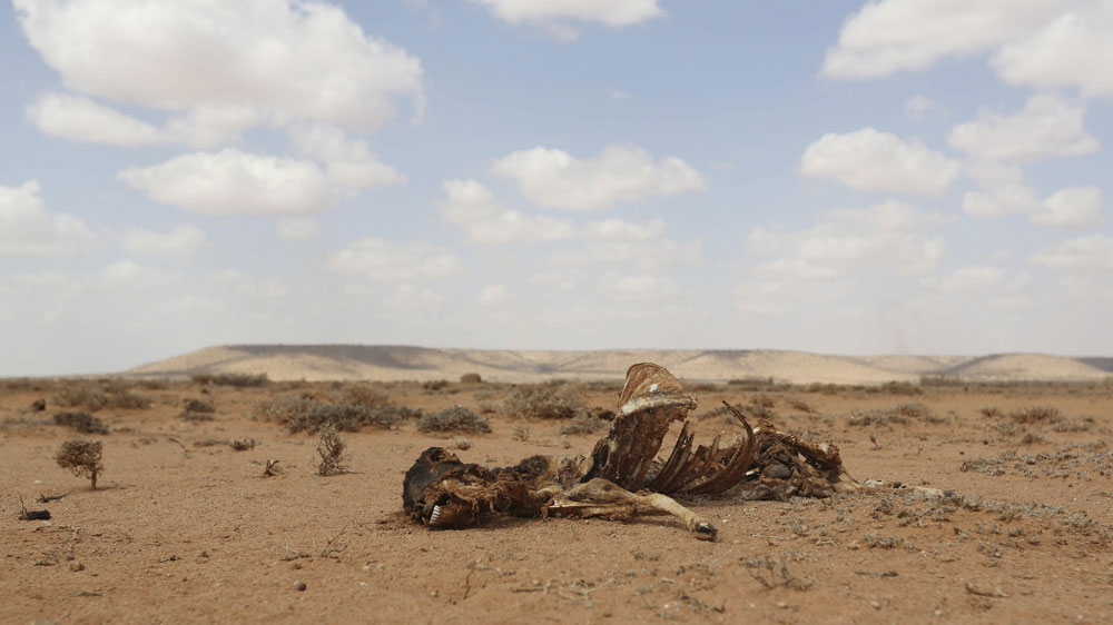 somalia drought infographic