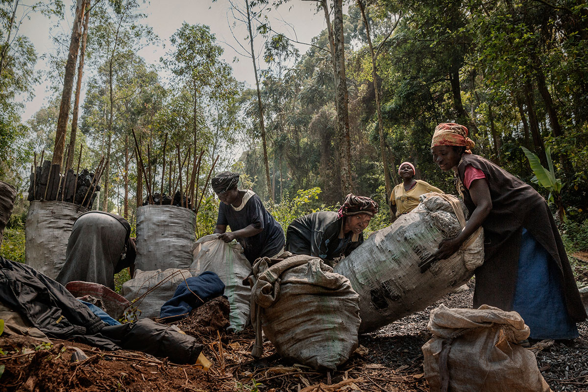 Sons of Violence - Rape in the Congo/ Please Do Not Use