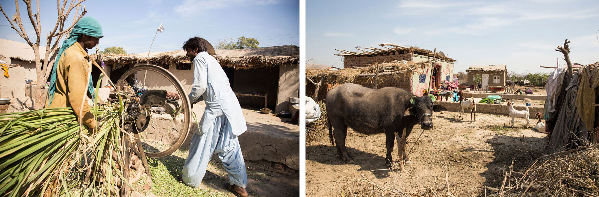 Some of the residents of the settlement make a little money working on nearby farms or selling buffalo milk [Faras Ghani/Al Jazeera]