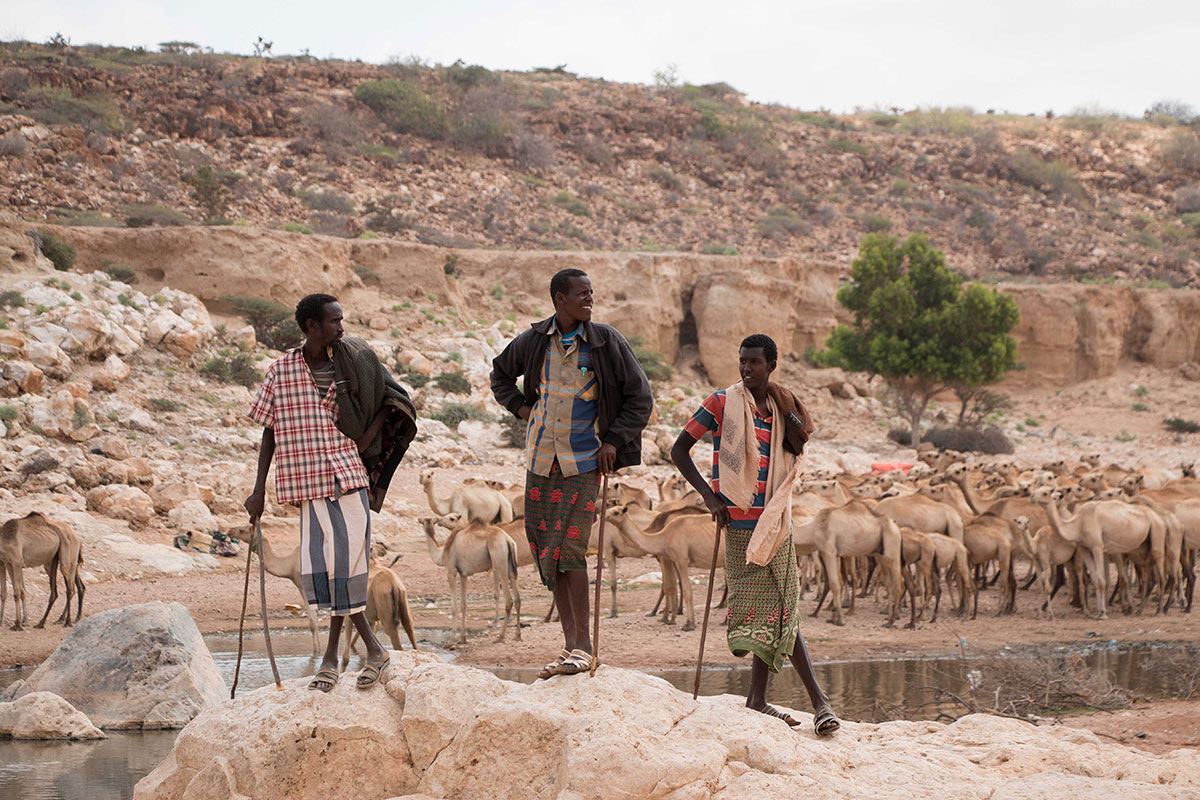 Drought strikes Puntland/ Please Do Not Use