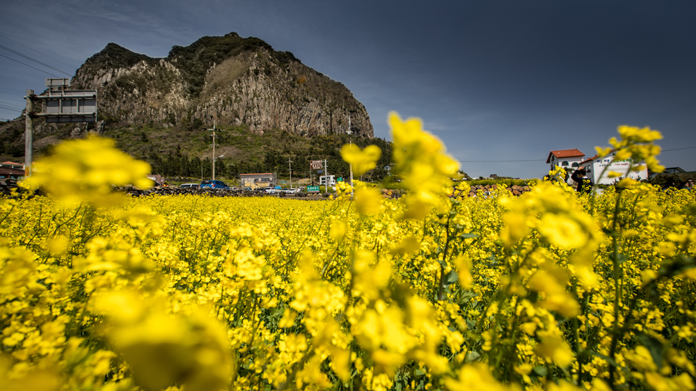 
About 500,000 people live on the island known for its captivating natural beauty [Joel Lawrence/Al Jazeera]
