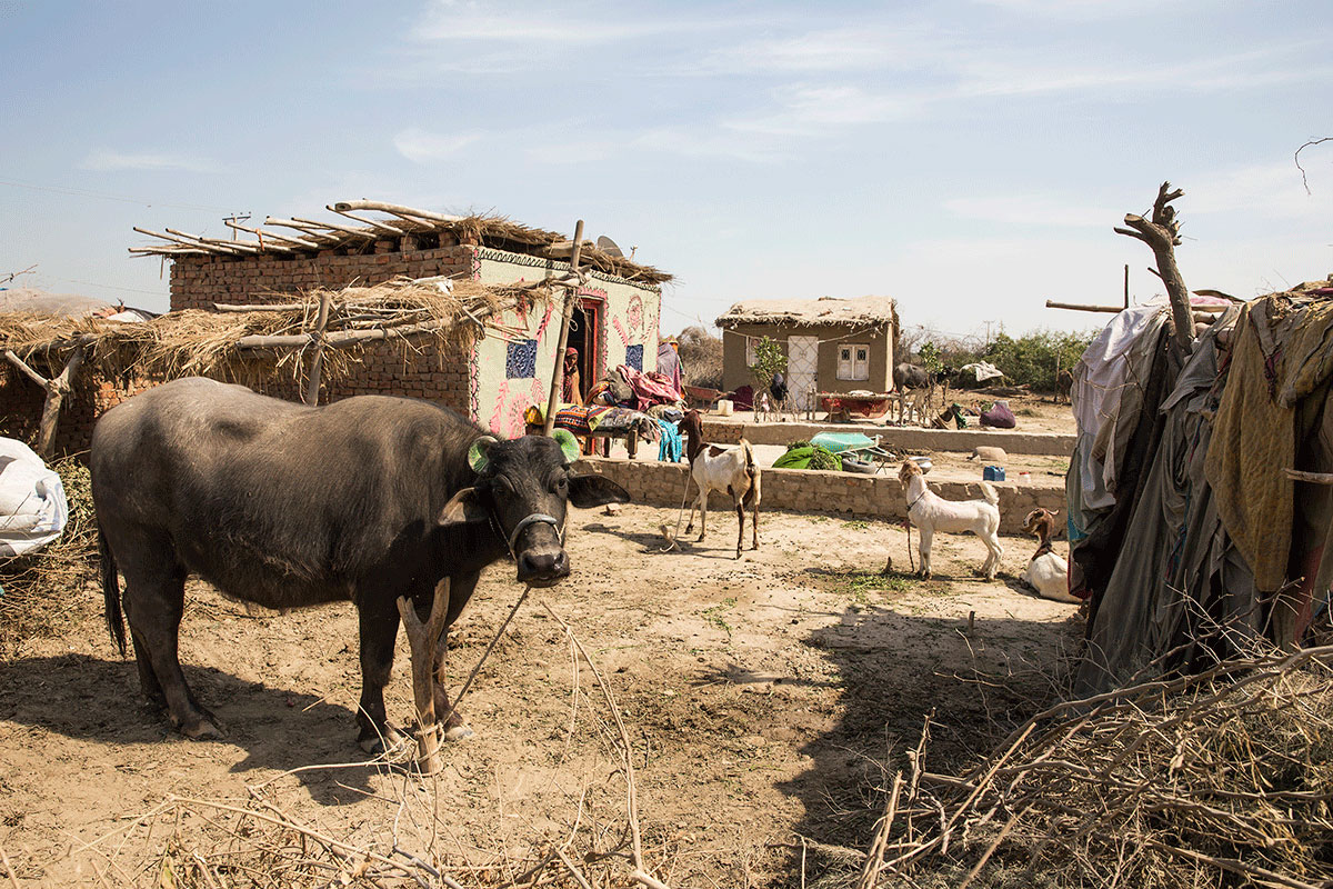 Azad Nagar, Pakistan [Faras Ghani/Al Jazeera]