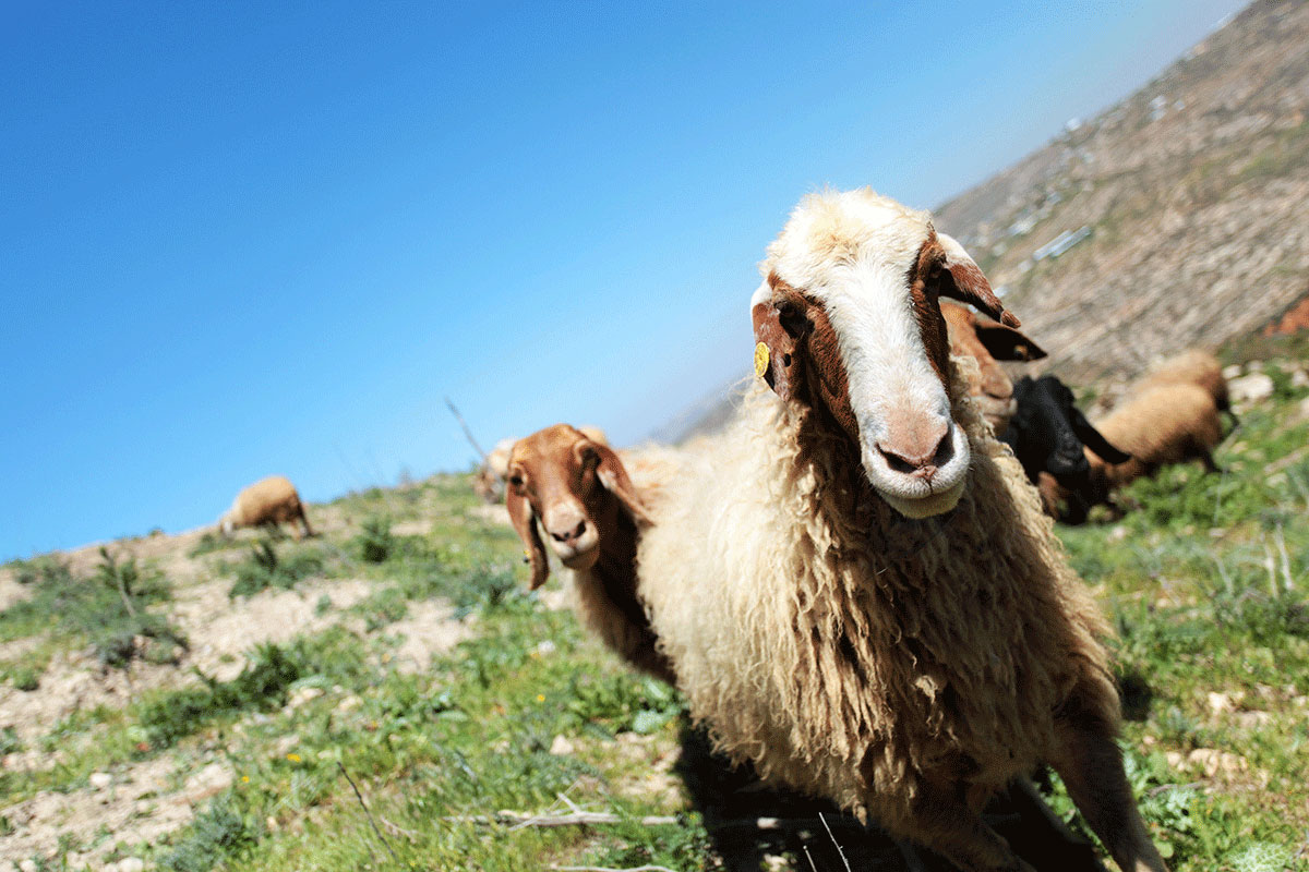 Walking a path of resistance/Please Do Not Use