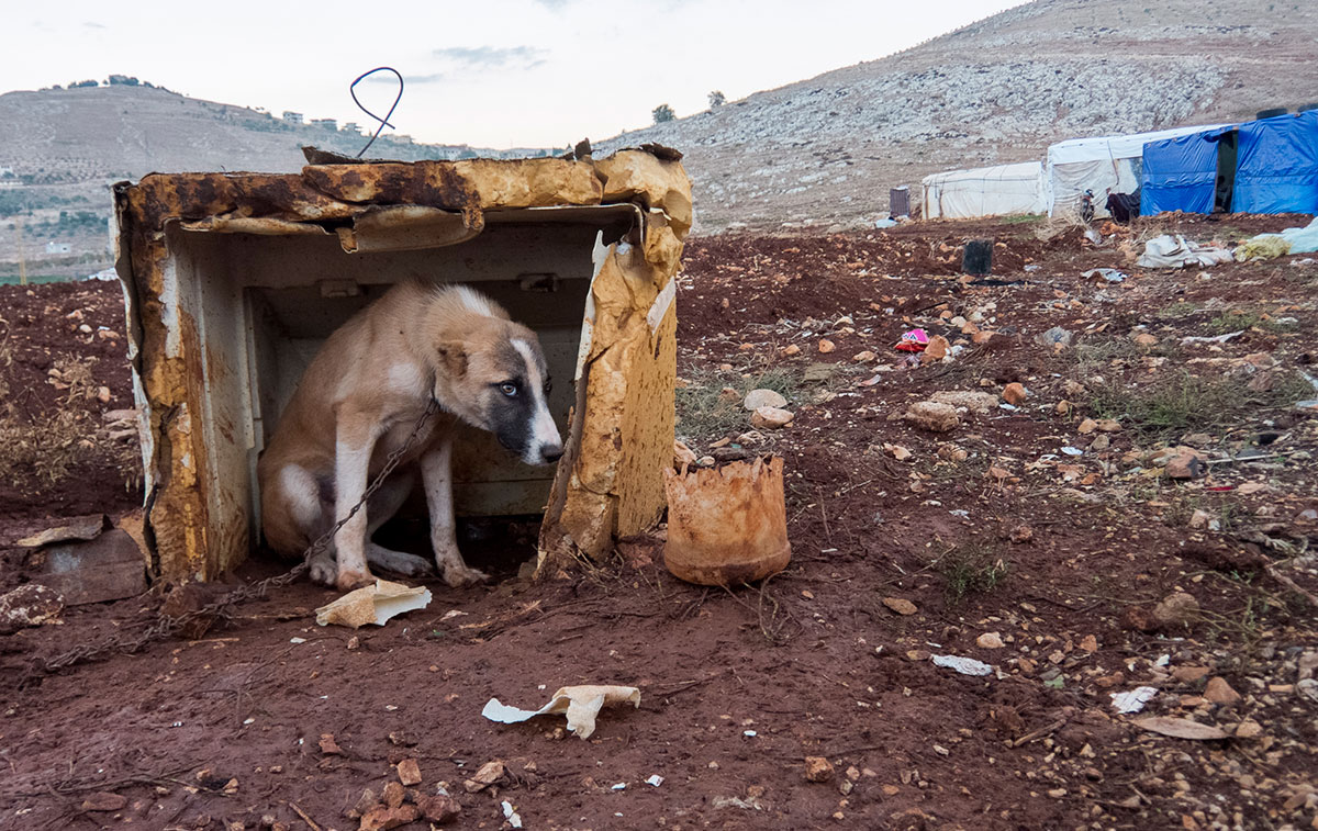 A legally blind photographer on life in a refugee camp/Please DO Not Use