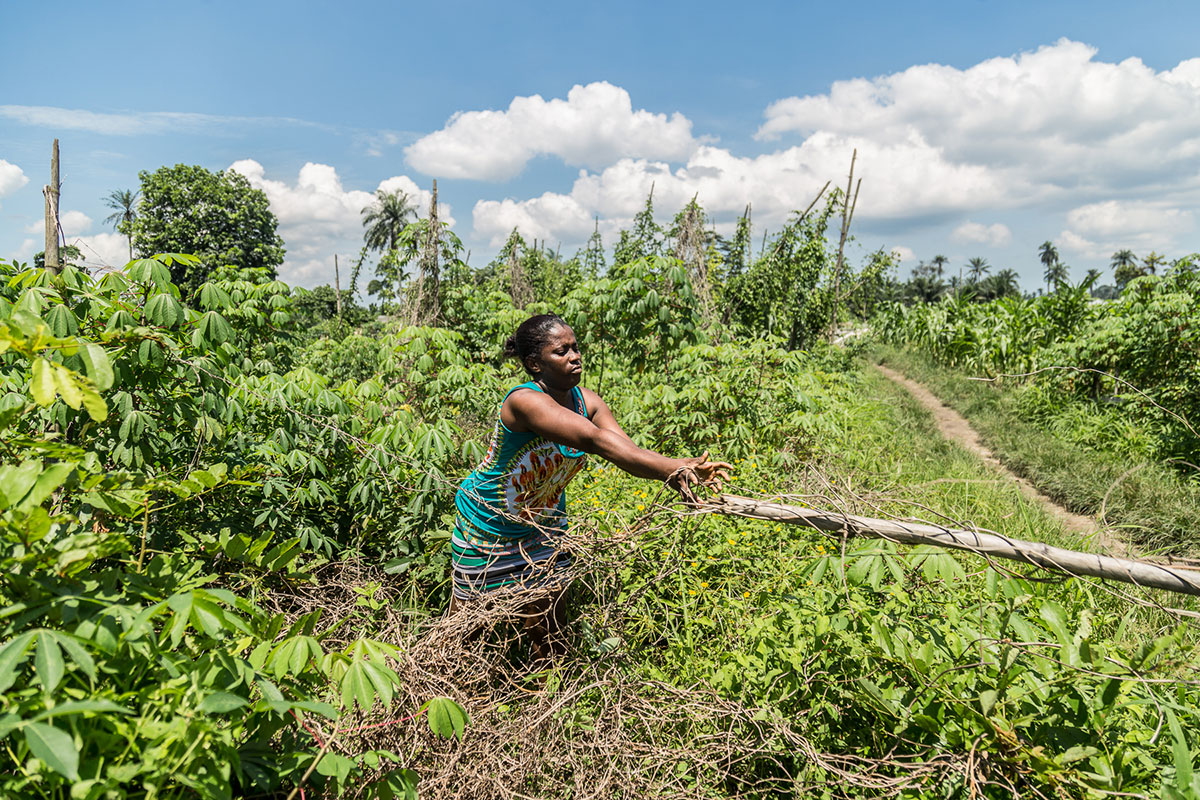 Bodo Village, Nigeria / Please DO Not Use