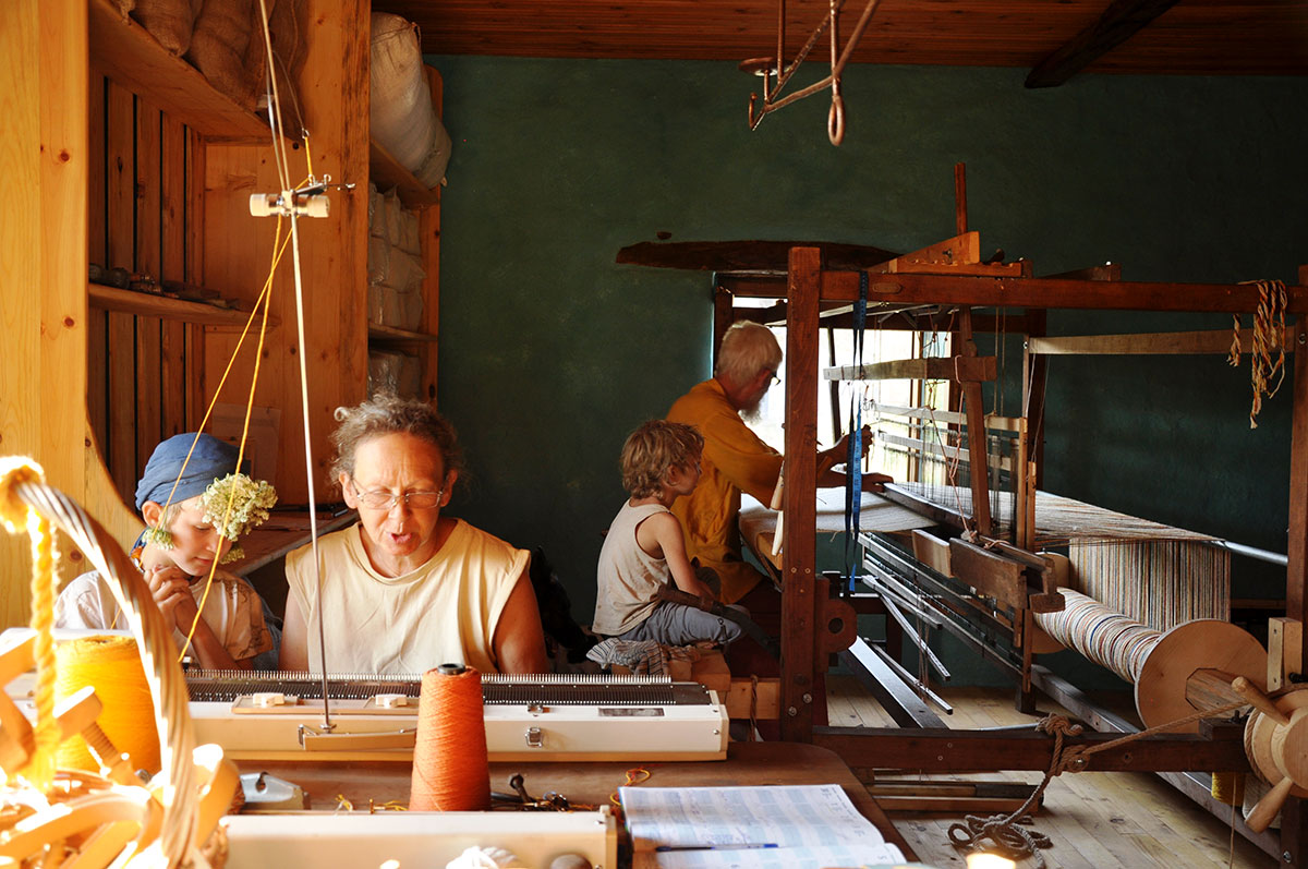 Rediscovering their roots/ Please Do Not Use