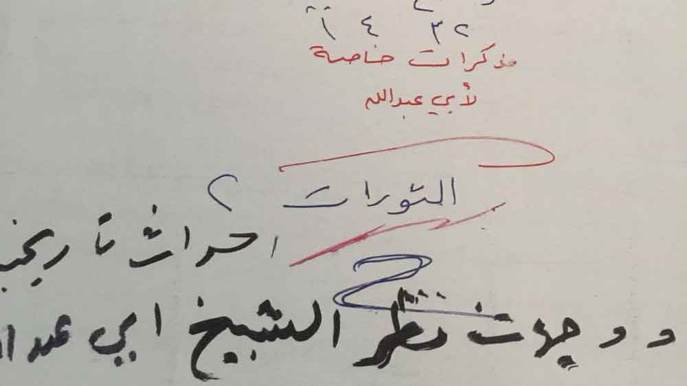 Osama bin Laden diary