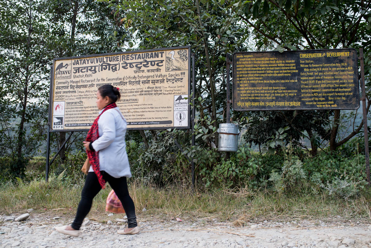 The vulture restaurant