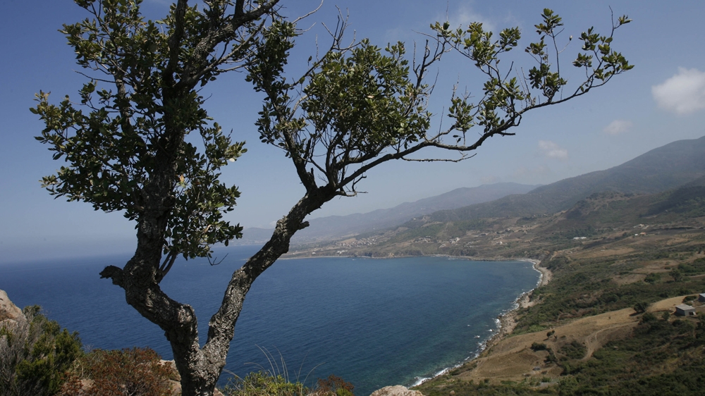 Algeria's Kabylie region is at the heart of the struggle for Amazigh rights [Zohra Bensemra/Reuters]