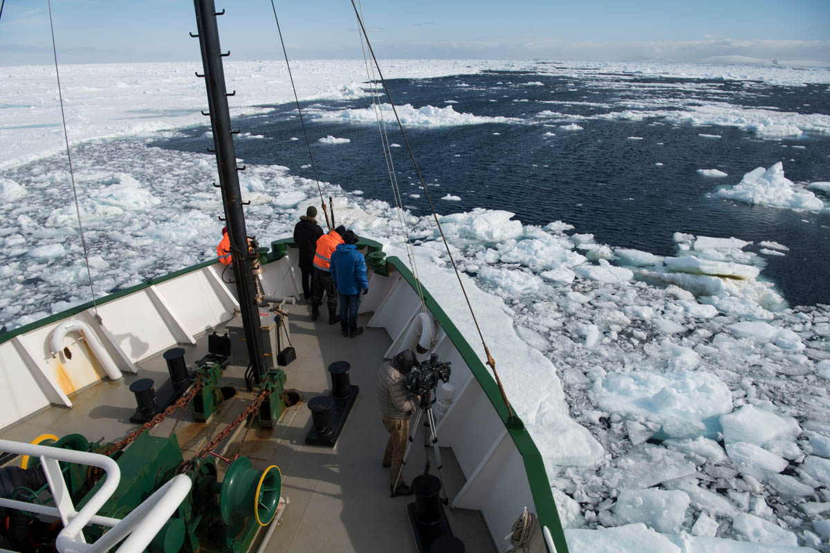 The Arctic Sunrise nudging though the icy waters of the Weddell Sea and the proposed Sanctuary zone.