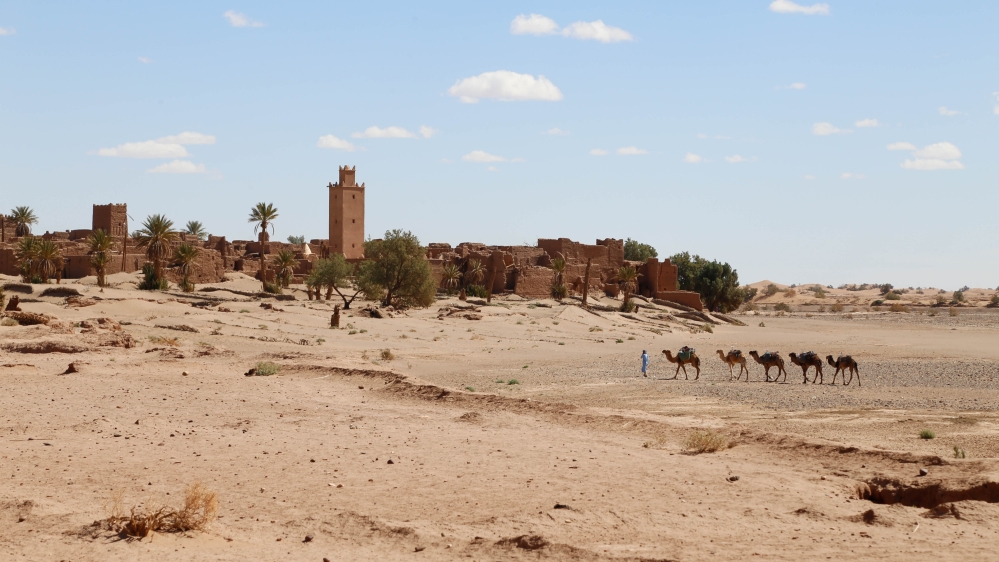 Camels cross Draa river, which is mostly dry throughout the year except when the water is released by the dam upstream. Some villages are half empty after residents left seeking better opportunities [Viktorija Mickute/Al Jazeera]
