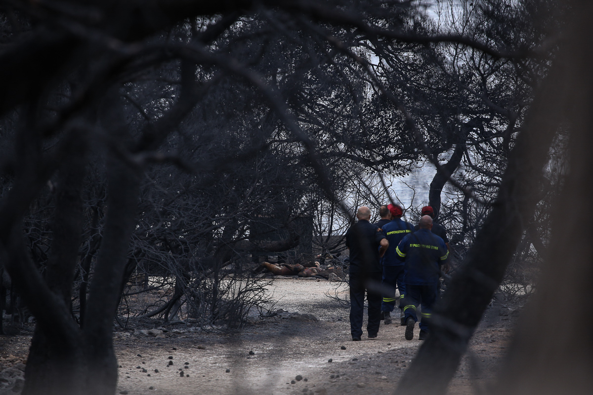 [Nick Paleologos/SOOC/Al Jazeera]