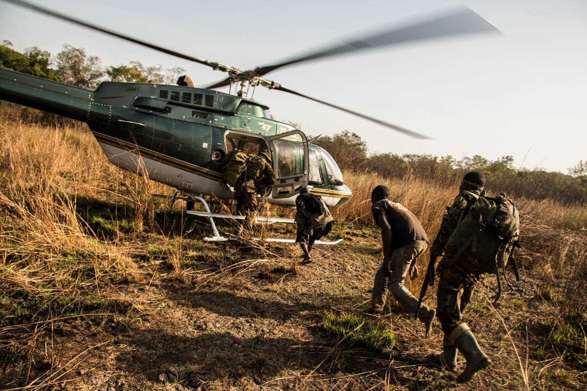 Fighting poachers in central Africa''s secret Eden