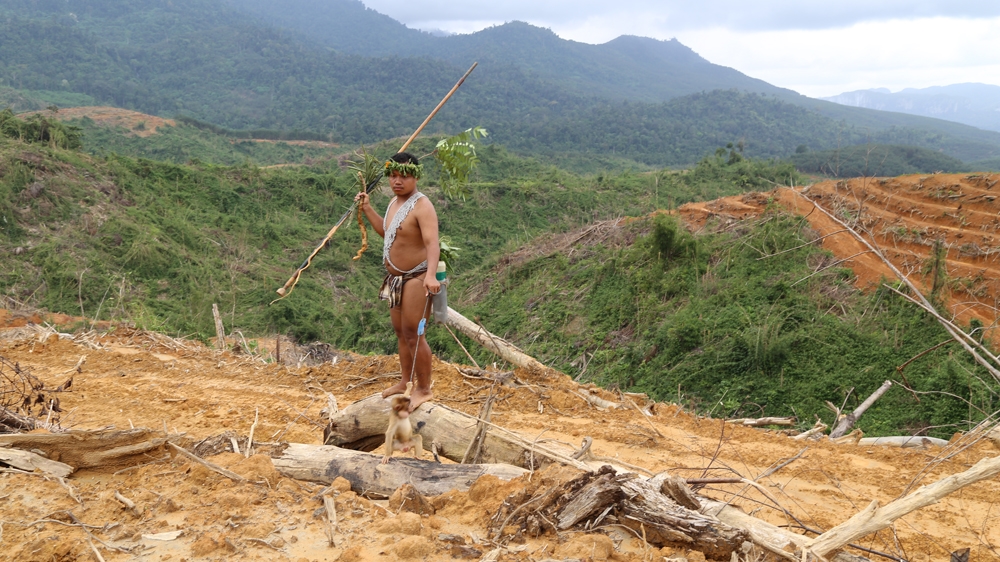 Dendi looking around the cleared lands after hunting in the forest. (Drew Ambrose/Contrast)