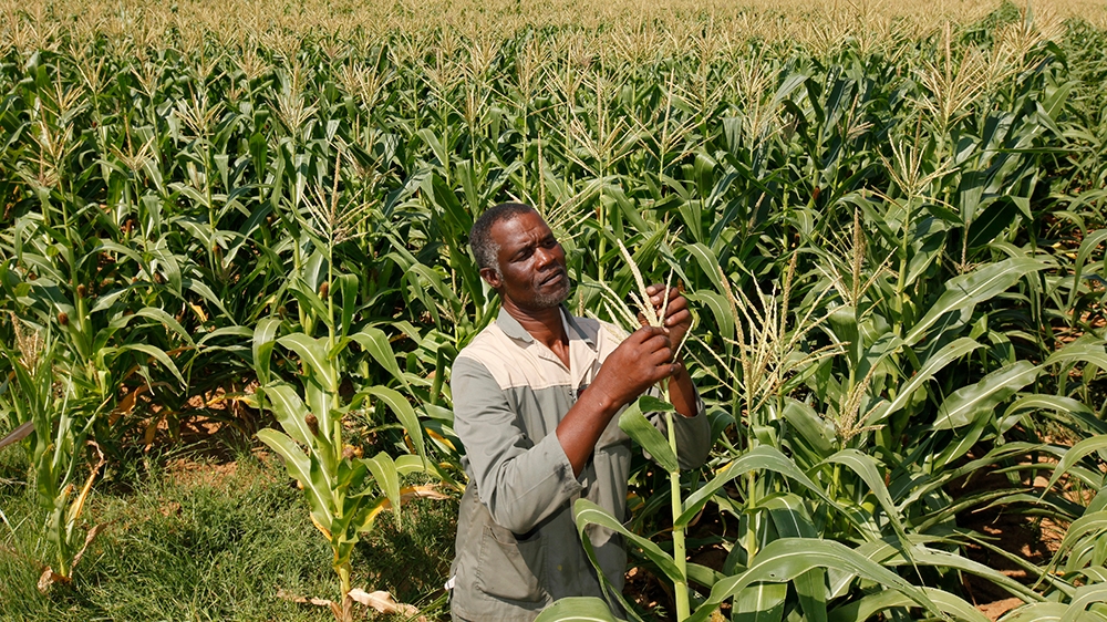 The South African government says the expropriation of land will address racial disparities [Reuters]