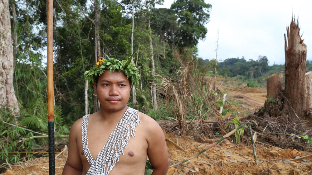 Dendi looking around the cleared lands after hunting in the forest [Drew Ambrose/Contrast]