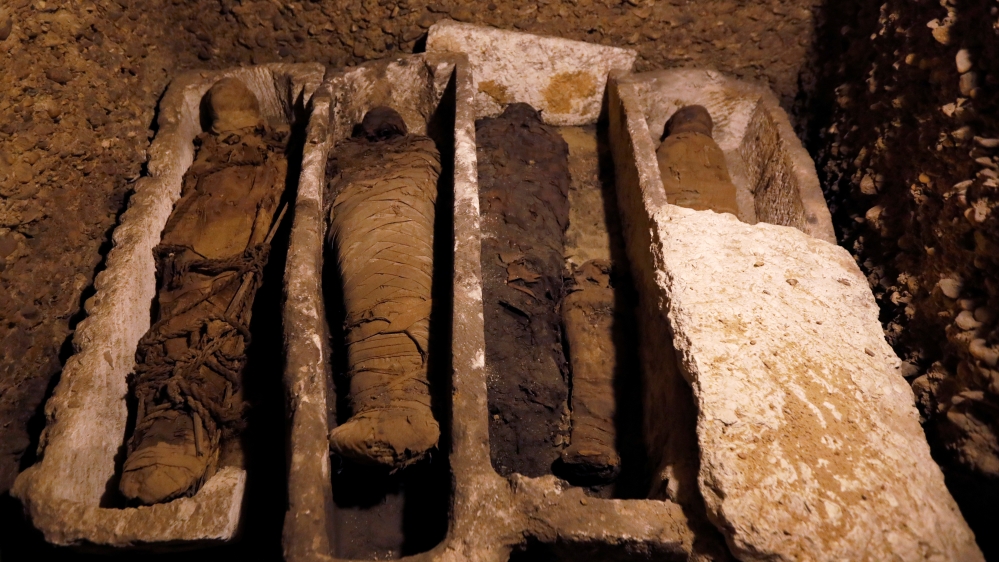 Announcement of a discovery at Tuna el-Gebel archaeological site