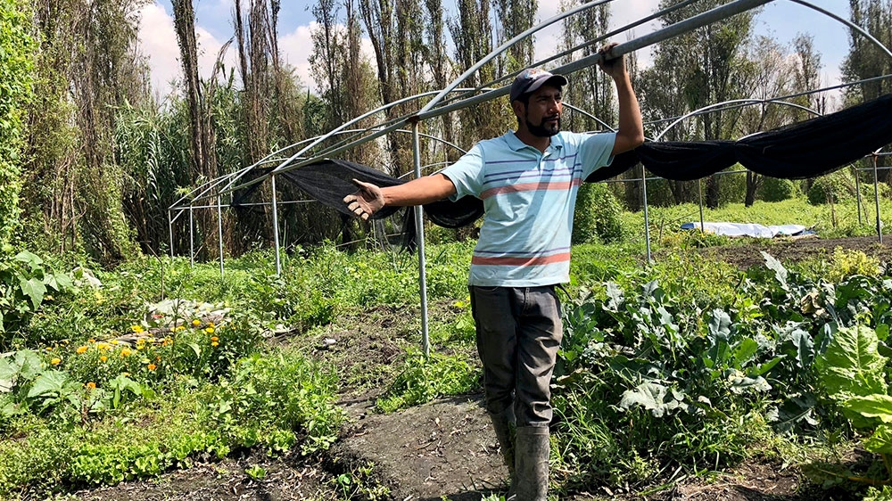 Aztec farming traditions [Paul Biasco/Al Jazeera]