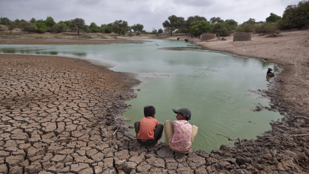 Pollution from fertilisers is exacerbating water shortages in many parts of India, a new report says