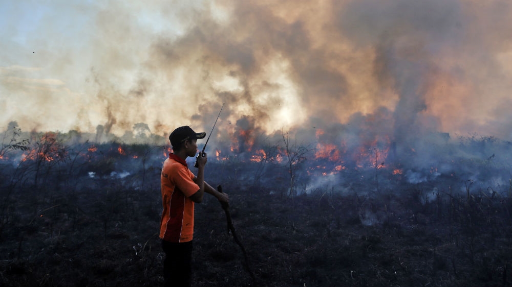 Indonesia election environment