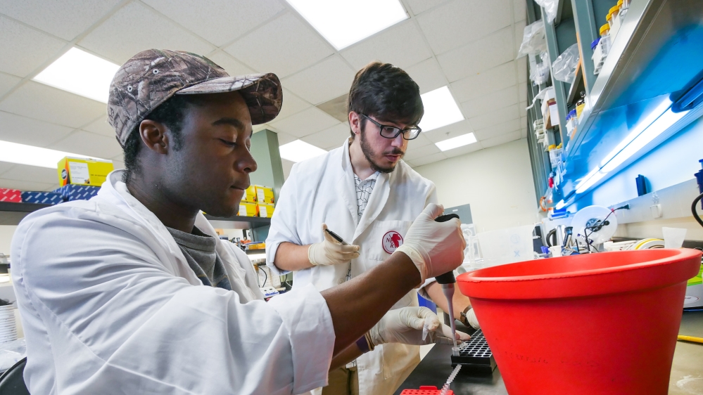 Mozzie scent discovery