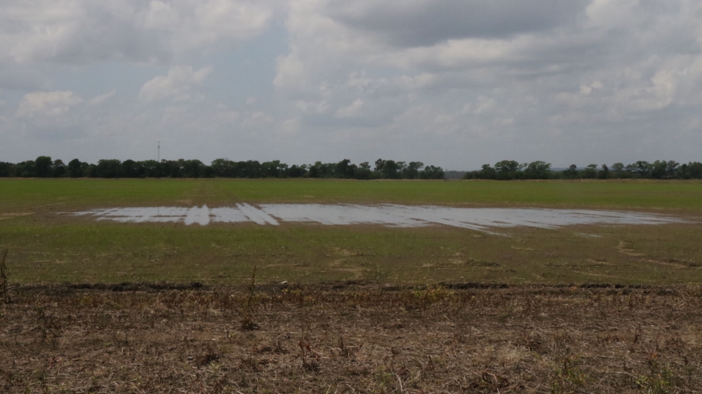 Rain soaked farm, Arkansas