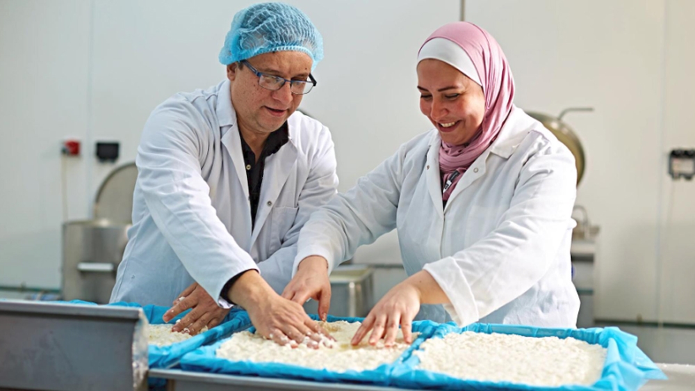 yorkshire dama cheese