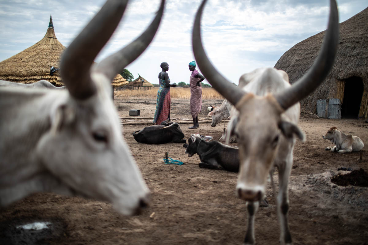 Anyieth Garang speaks with another woman on her homestead in Ruar Leek village, on April 8, 2019 “The pond will help me because it will bring water closer to my homestead, and the cattle and goats wil