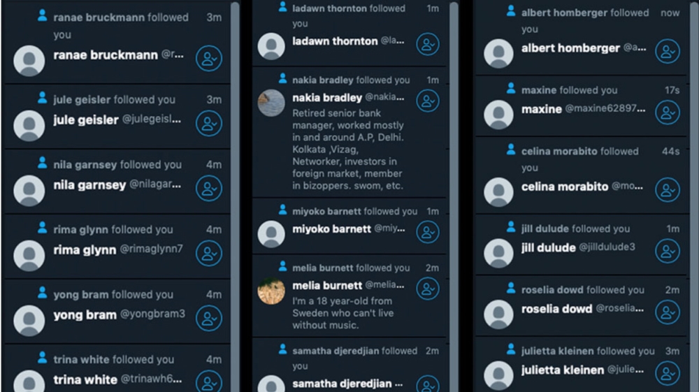 Buying hundreds of fake bot followers is simple, cheap and fast on dozens of websites [Yarno Ritzen/Al Jazeera] 