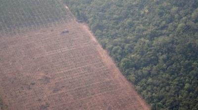 Deforested Amazon