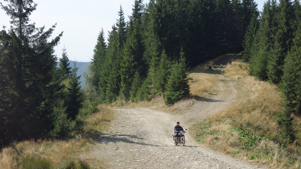 The Ukrainian Activists Who Want to Save a Mountain
