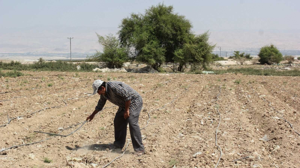 Ahmed Atiyat[Arwa Ibrahim/Al Jazeera]